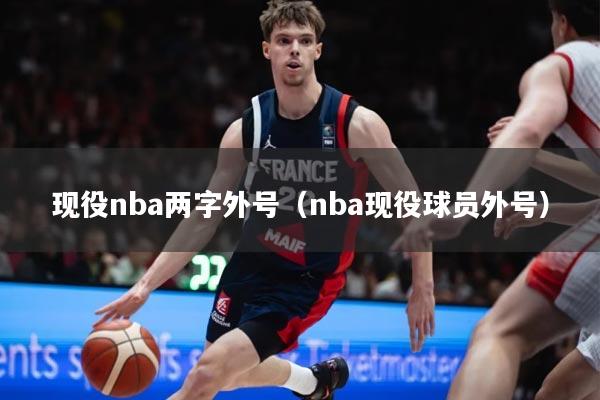 现役nba两字外号（nba现役球员外号）